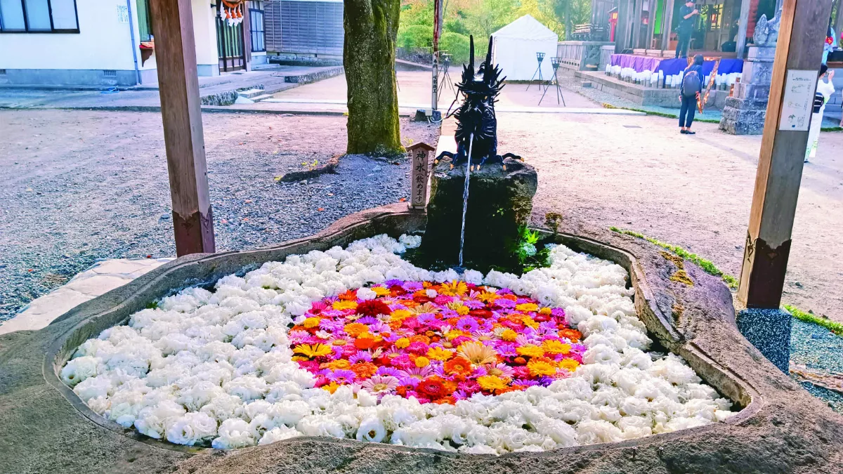 【海闊天空】嵐山瀧神社 月夜下的美麗饗宴