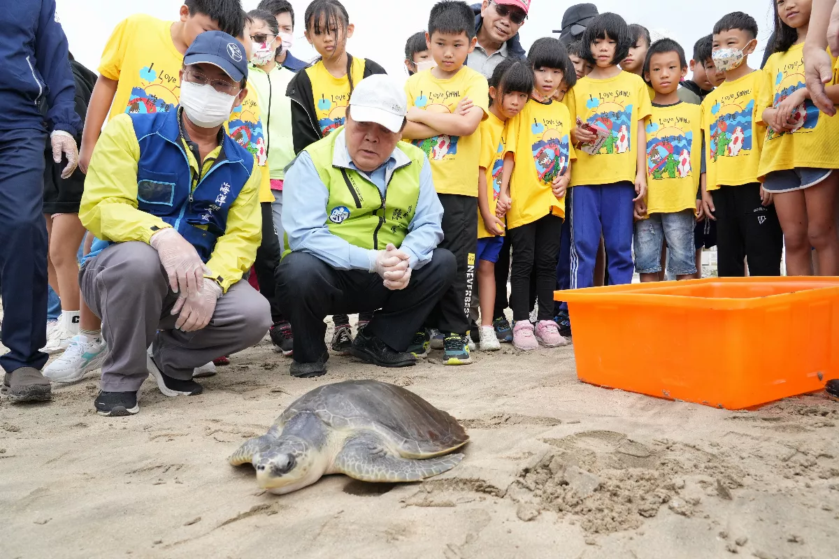 見證海龜重返大海  學童體會保育海洋生命意義