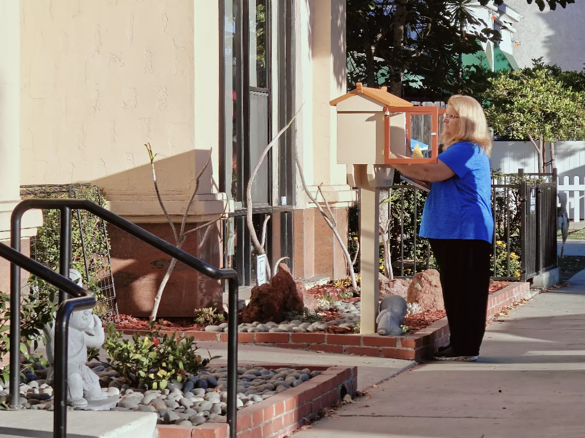 Hsi Fang Temple Establishes Little Free Library and Minion Installations to Promote Compassion and Buddhist Teachings
