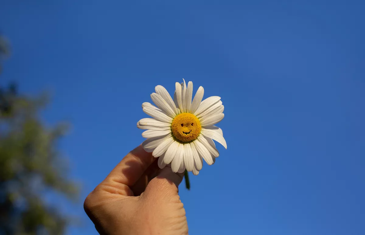 星雲說偈：修慈常樂