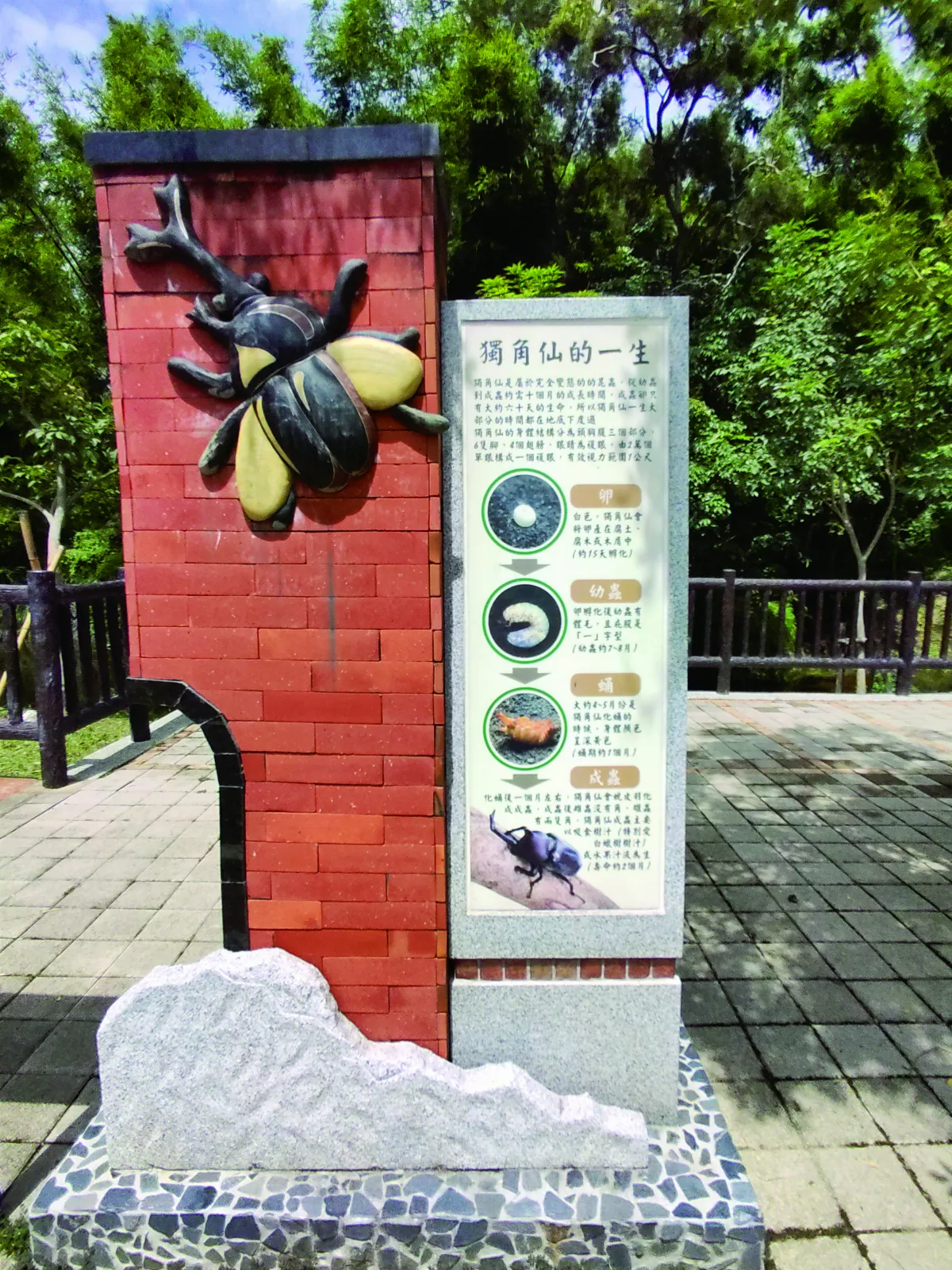 【鐵路自行車道】追火車遇到獨角仙