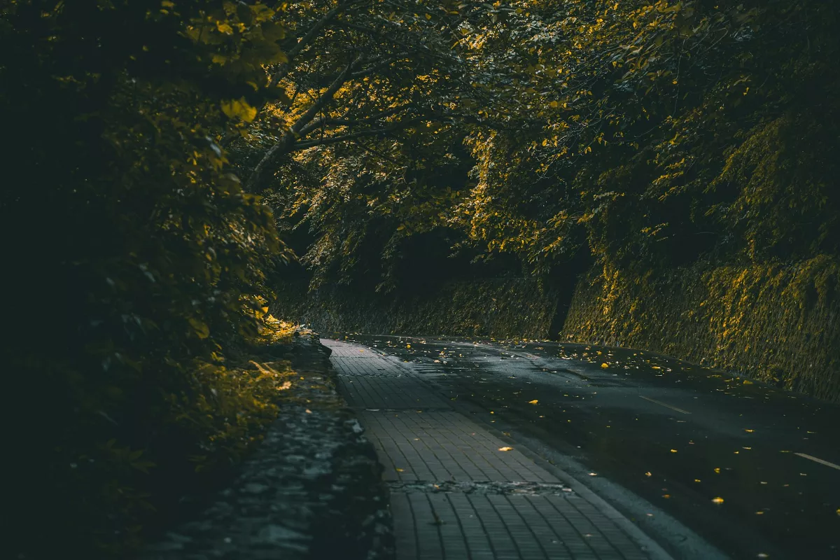 康芮颱風來勢洶洶 省道19路段預警性封閉