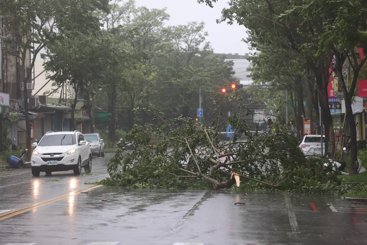 康芮風雨漸歇 周末起兩波東北季風接力報到