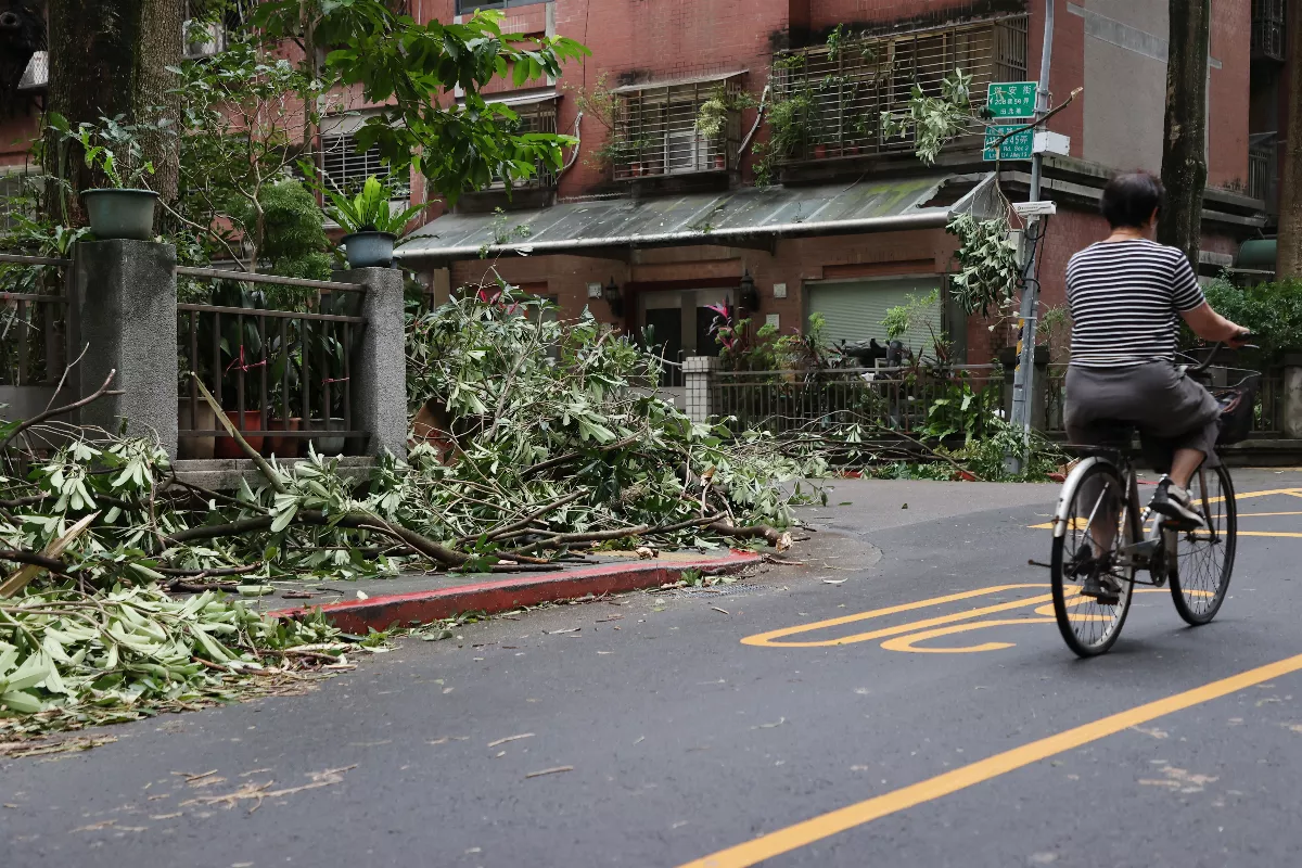 颱風後好發「類鼻疽」 防疫指南看這裡