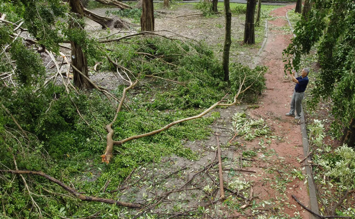 康芮颳10級以上強風 氣象署曝全台有感原因