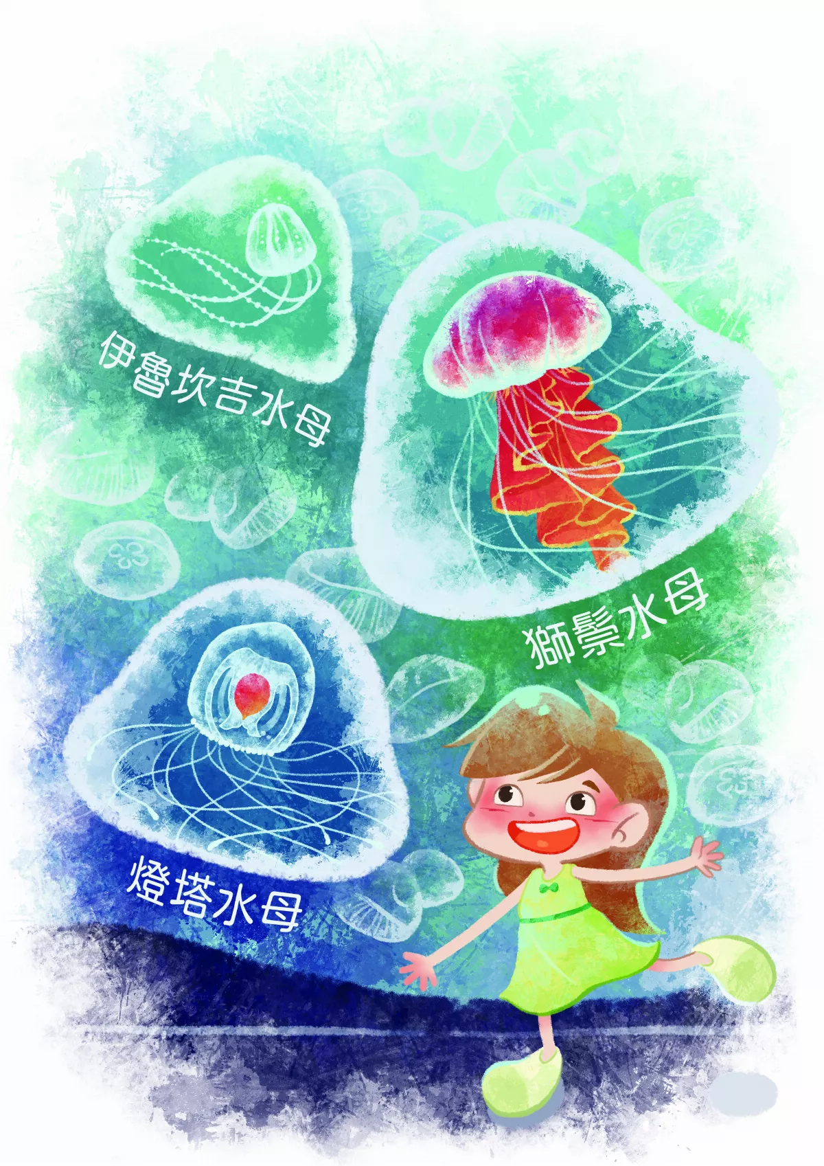 不是果凍是水母