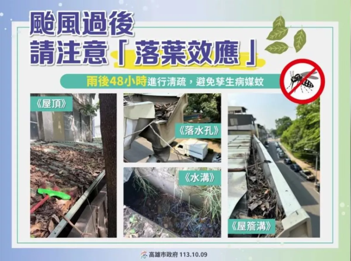 颱風過後「落葉效應」 慎防登革熱等傳染病