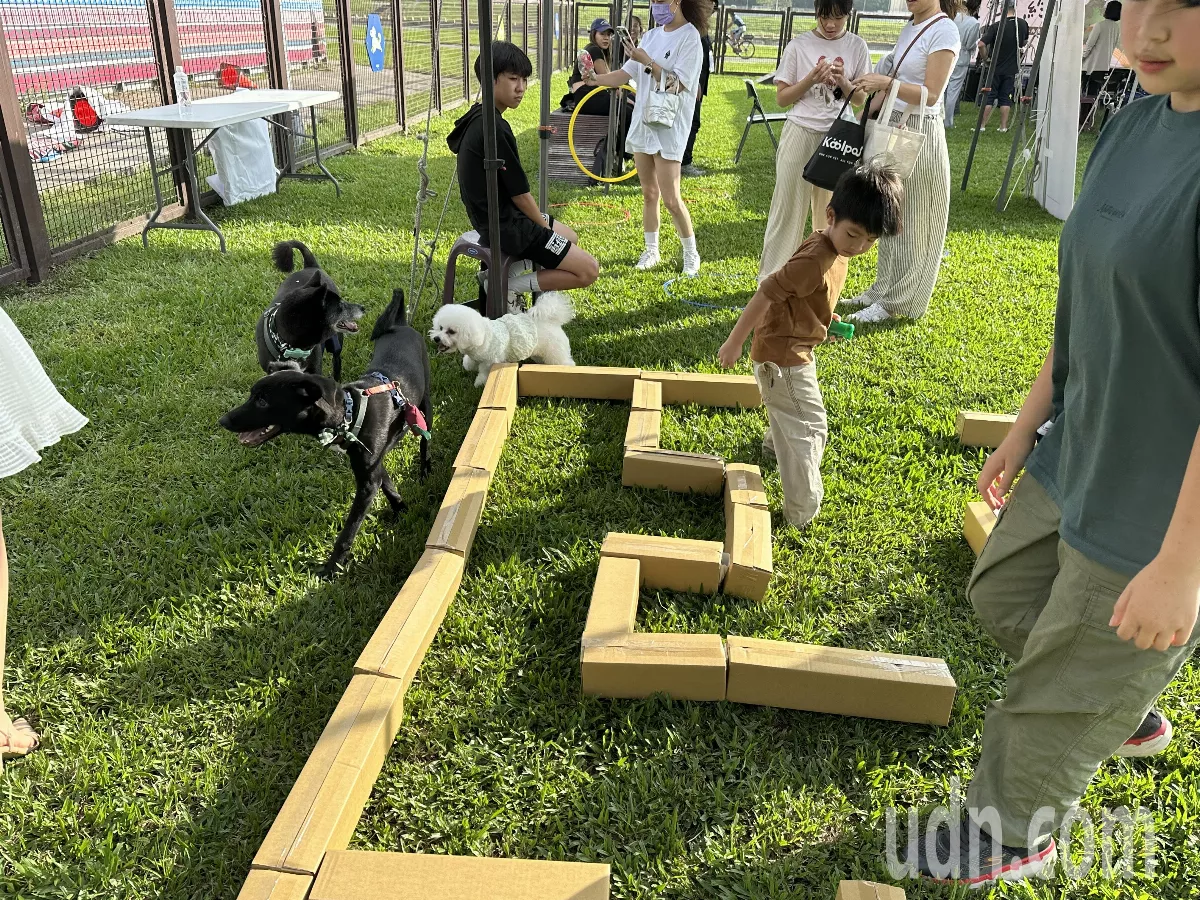 開放民間認養狗公園 蔣萬安：打造動物友善城市