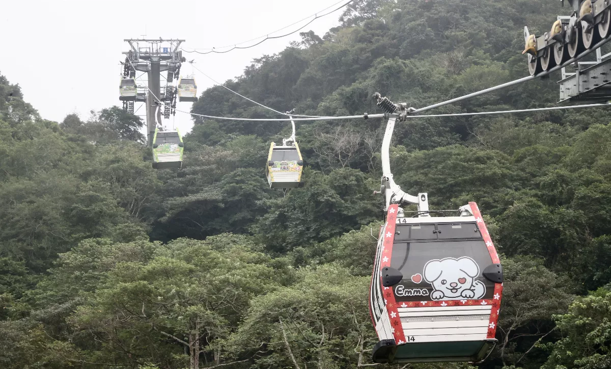 【想念母親】重遊貓空思親恩