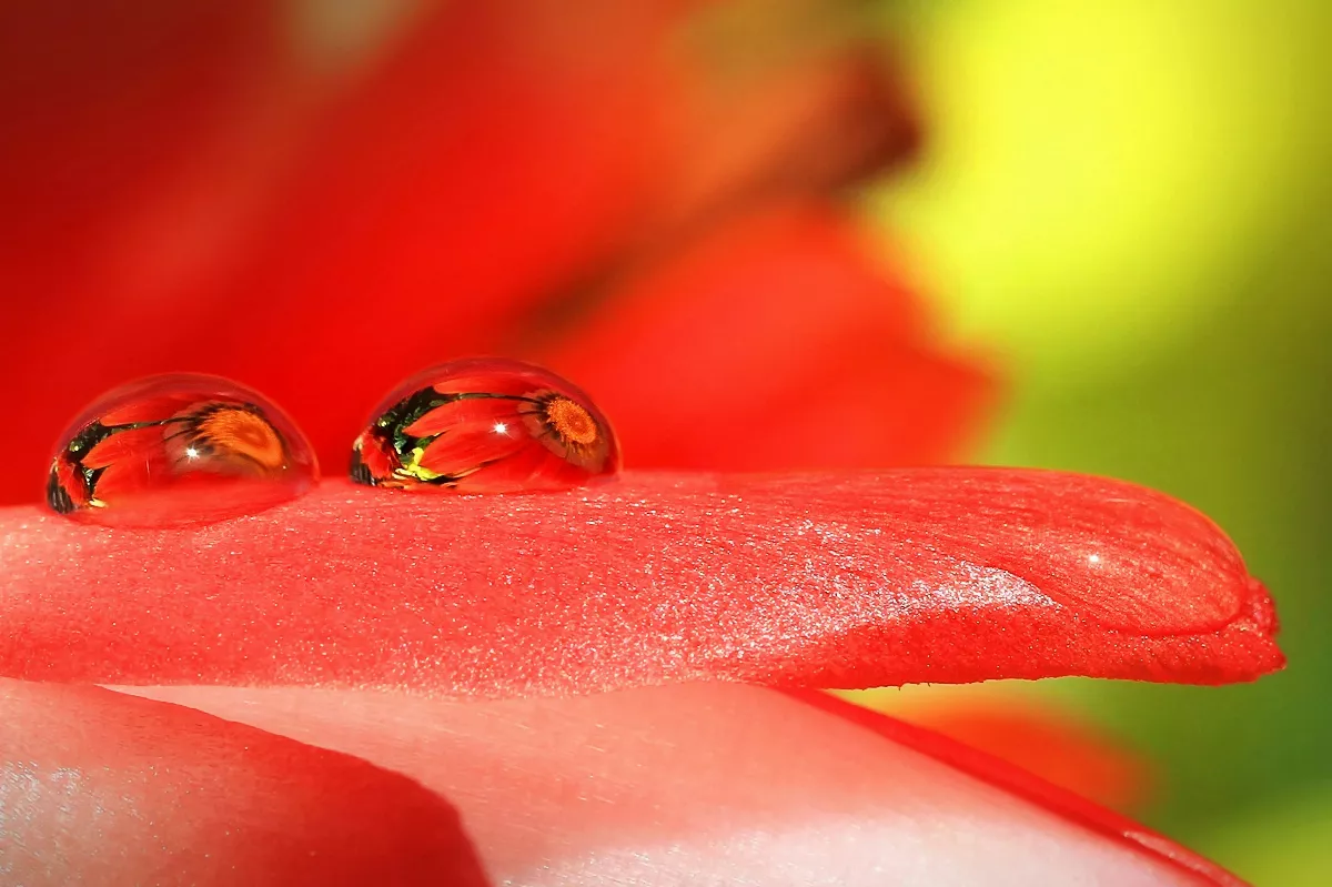 星雲說偈：求法的心態