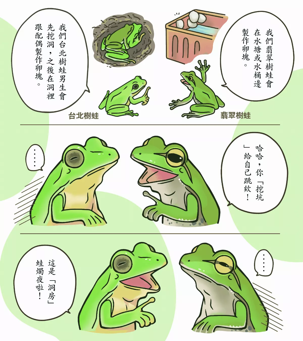 【玉子手札】台北樹蛙