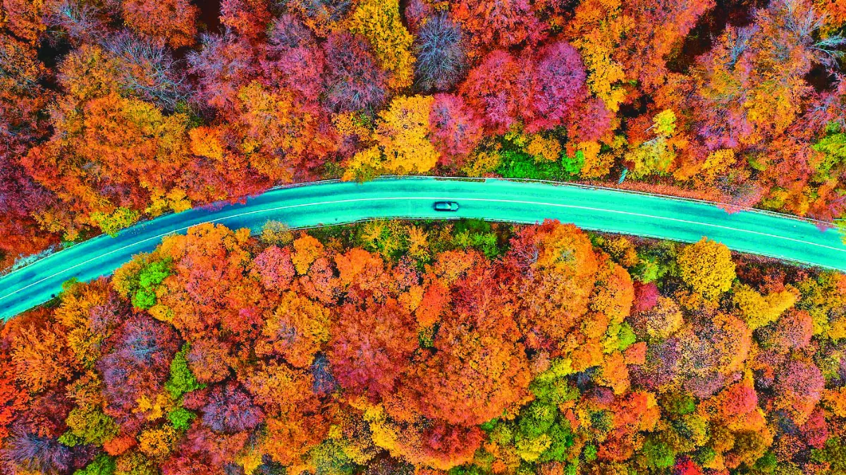 北馬其頓 秋意濃