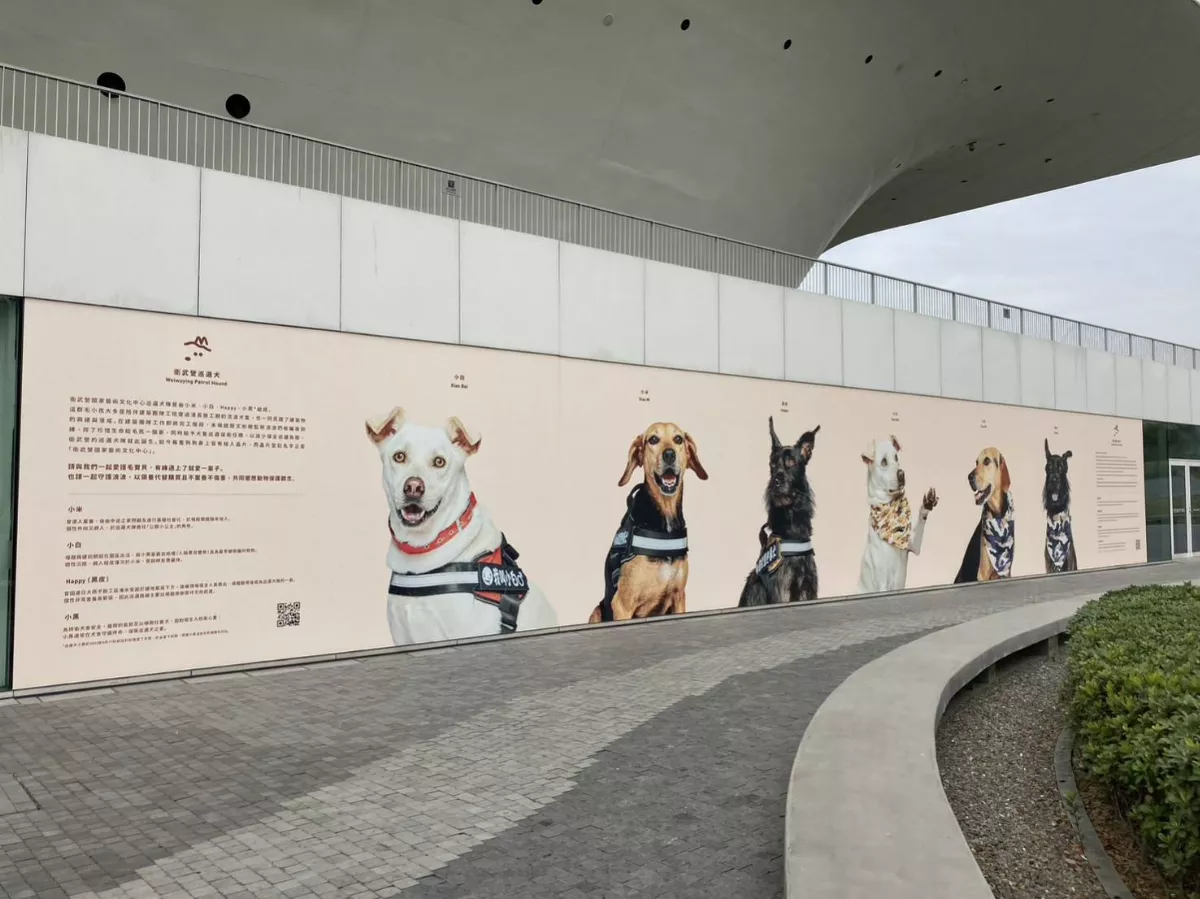 給毛孩一個家 浪犬成衛武營最忠實的巡邏犬