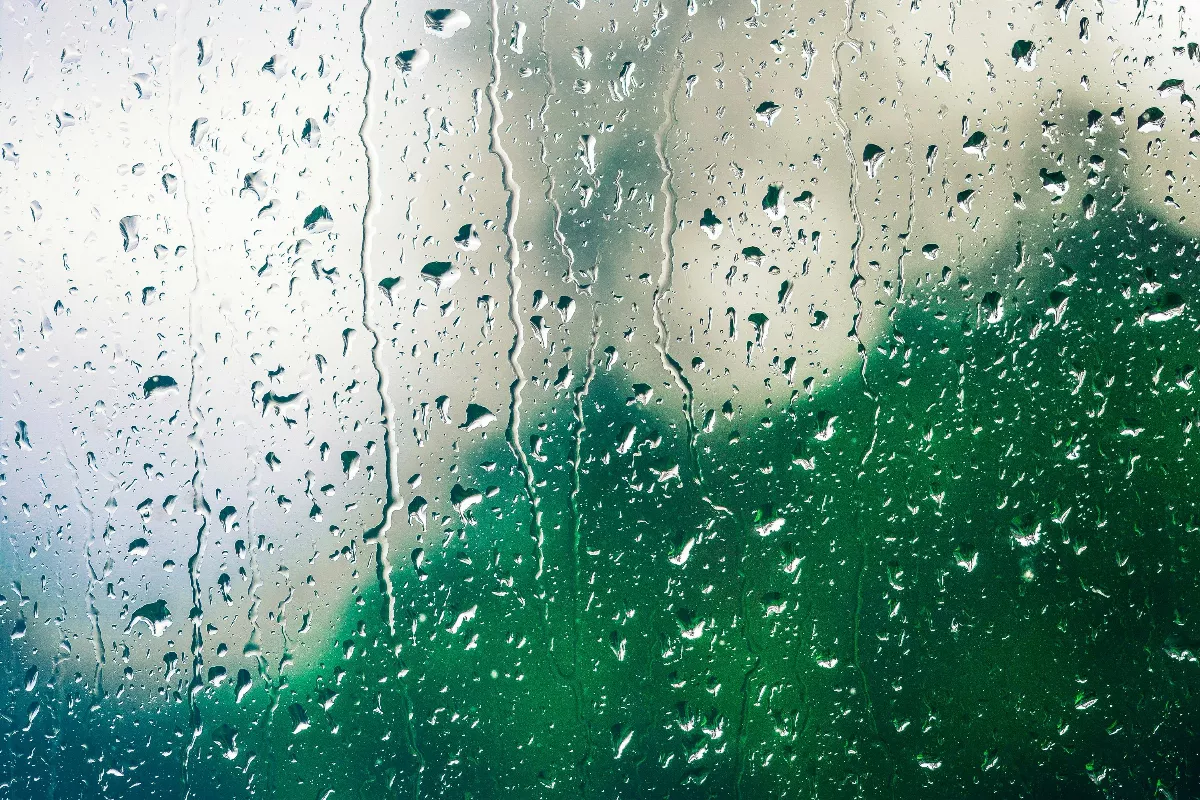 【分享時刻】今天星期三，天氣雨