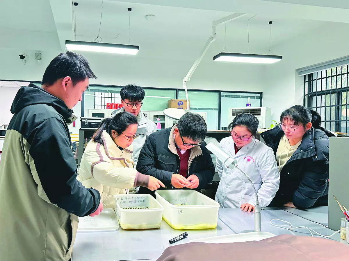 【考古的故事】秦家嘴楚簡 最早的乘法口訣實物