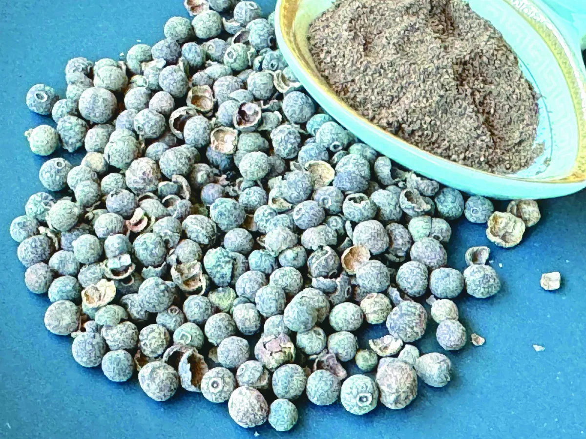 【異鄉食情】 多香果 集眾香於一身