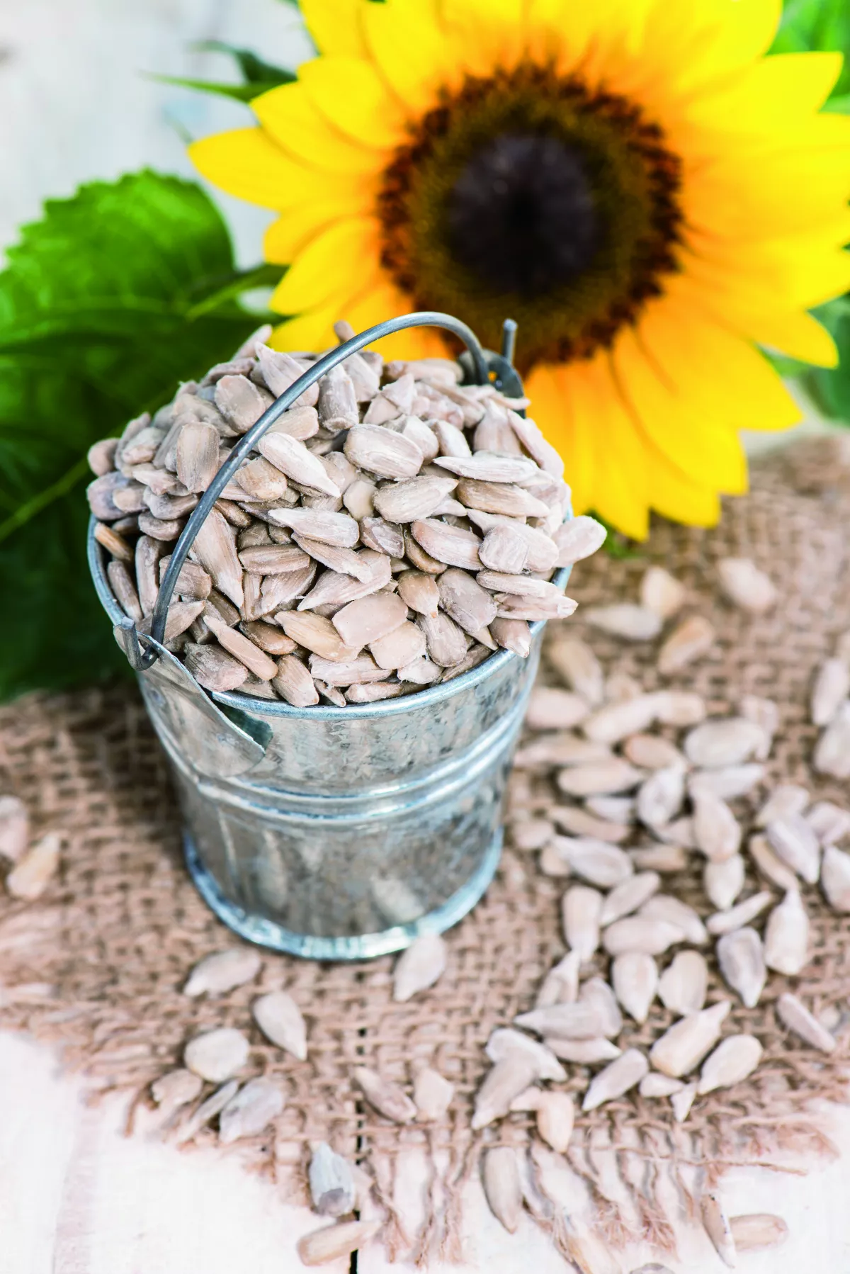 天然食方護膽囊