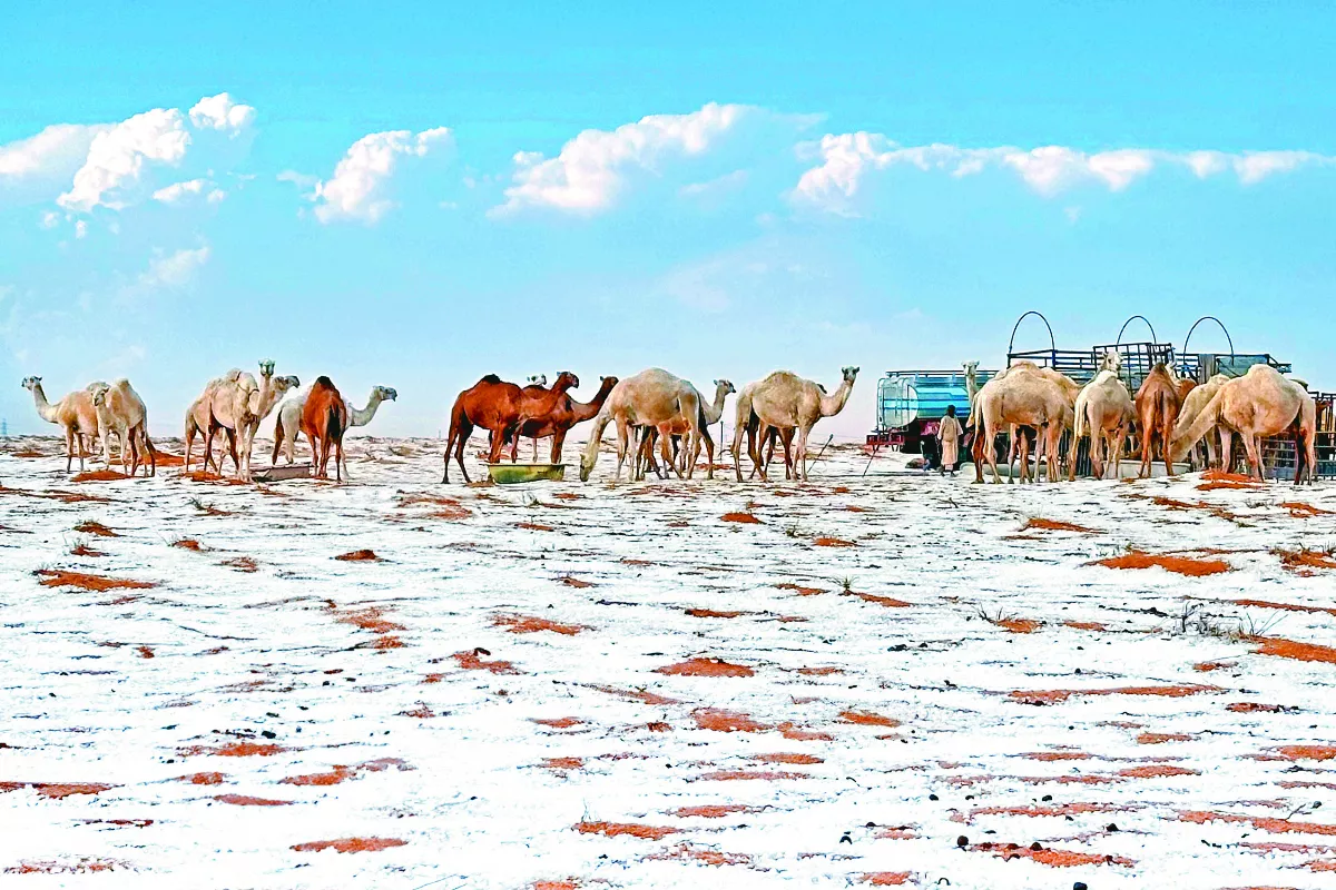 沙烏地罕見降雪
