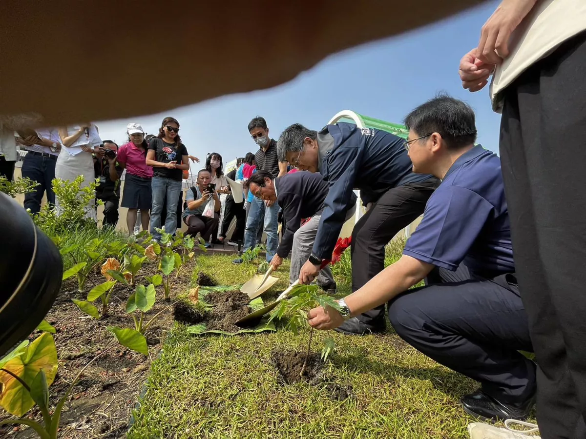 淨零節能 學校打造綠屋頂、家戶推展城市園丁