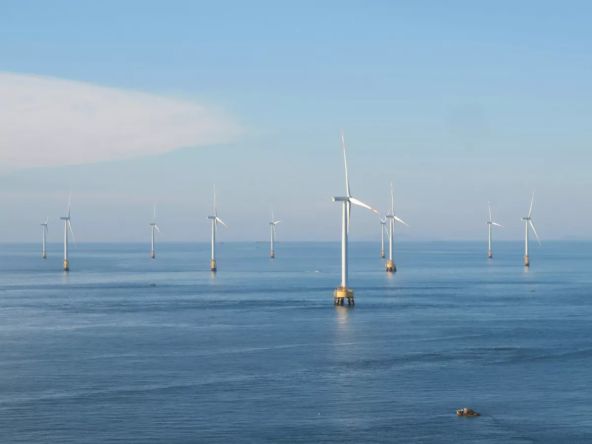 台電「綠電」開賣啦！2主餐6種組合可選