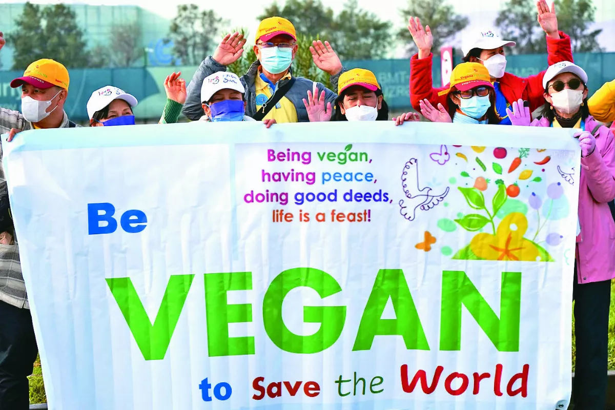 COP29開幕 主席認融資缺口上兆元