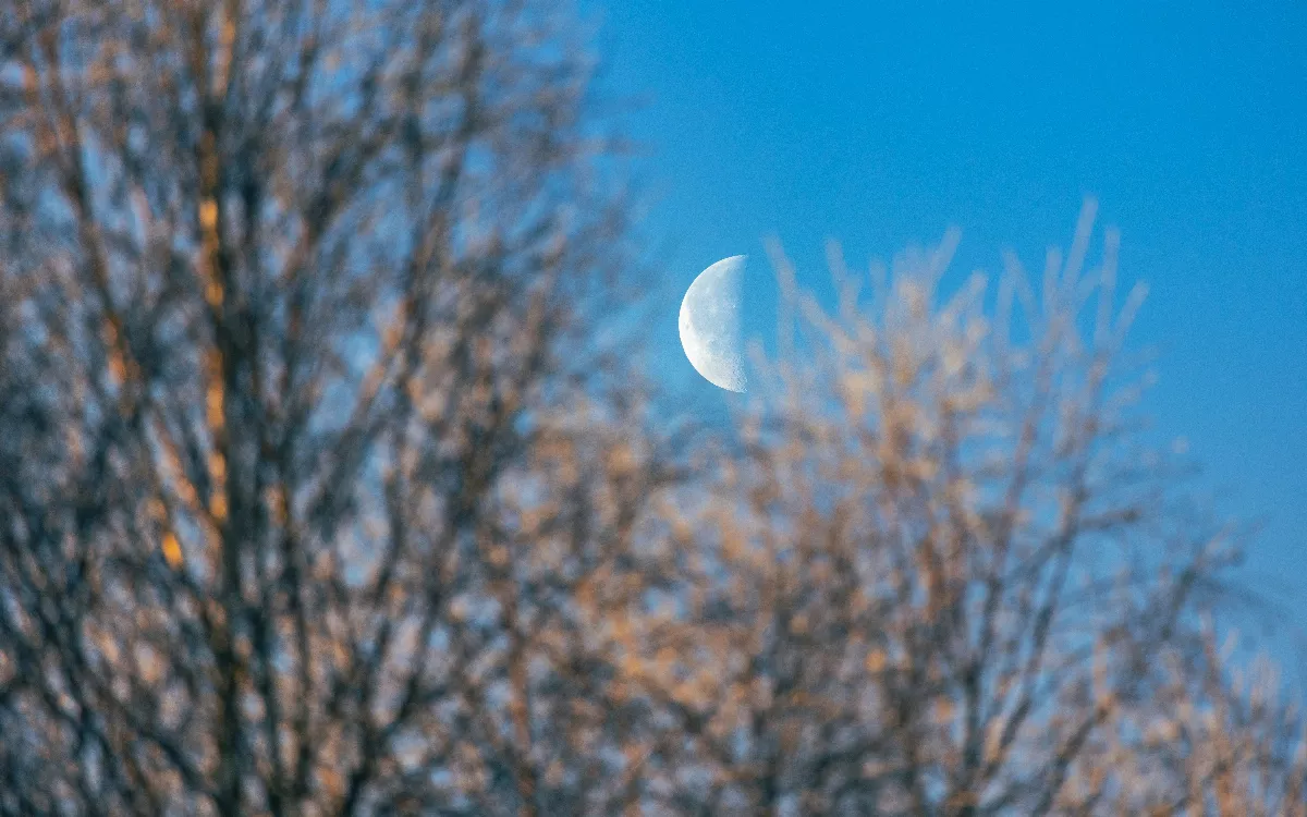 星雲說偈：動氣的缺陷