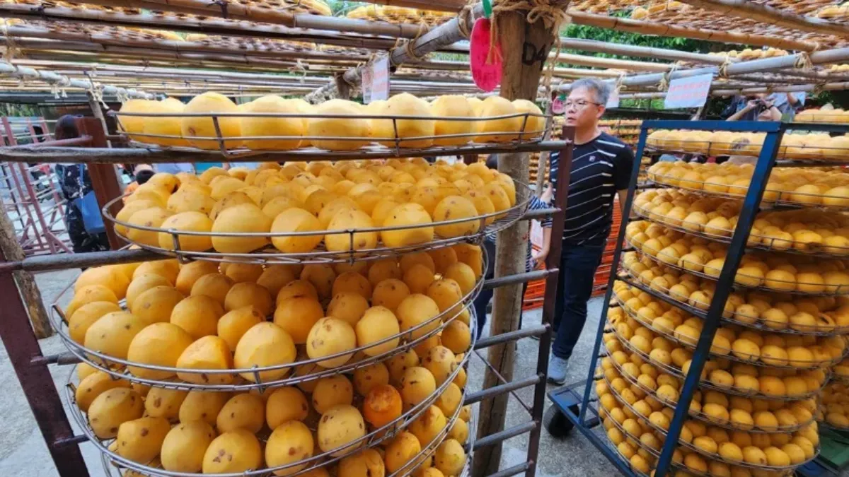 柿子正當季！營養師提醒腎臟病、糖尿病酌量攝取