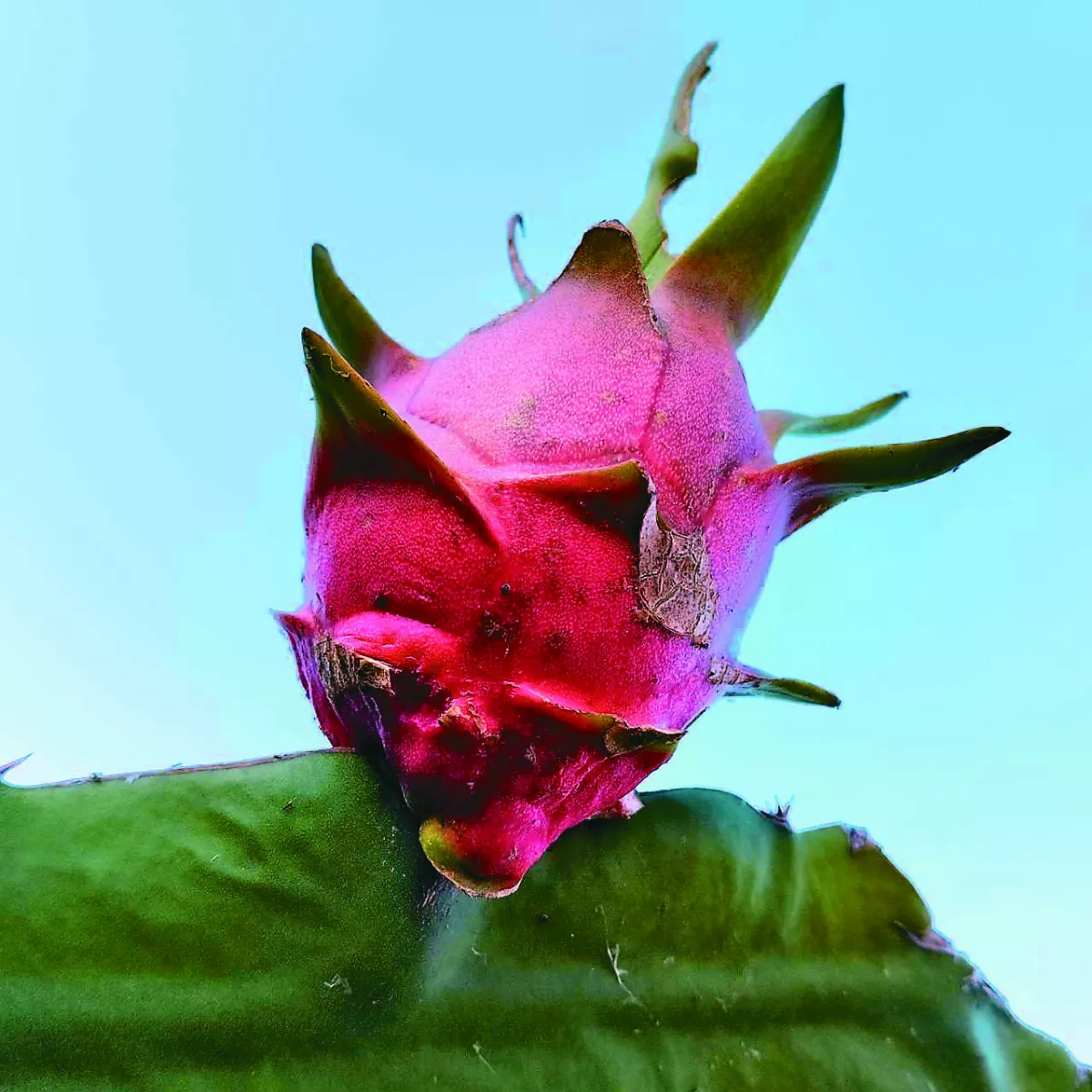 【生活感悟】自在向藍天