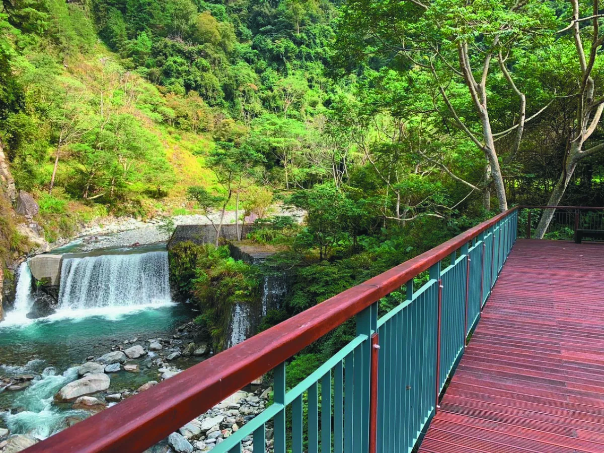 八仙山自由茶席