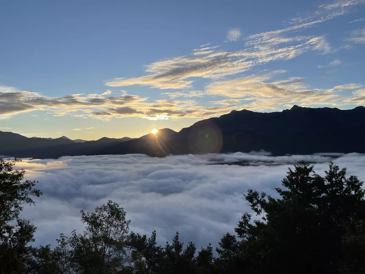 森林生態旅遊 五感體驗阿里山之美
