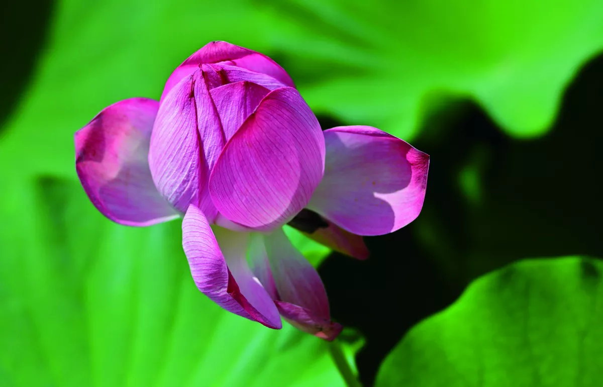 【時光重逢】有彎路的風景