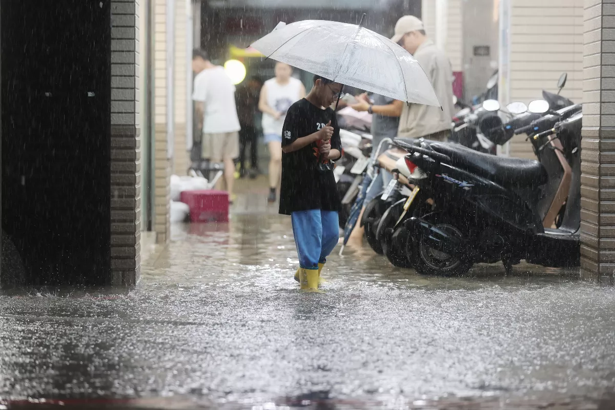 颱風後黃金期 清理環境預防登革熱