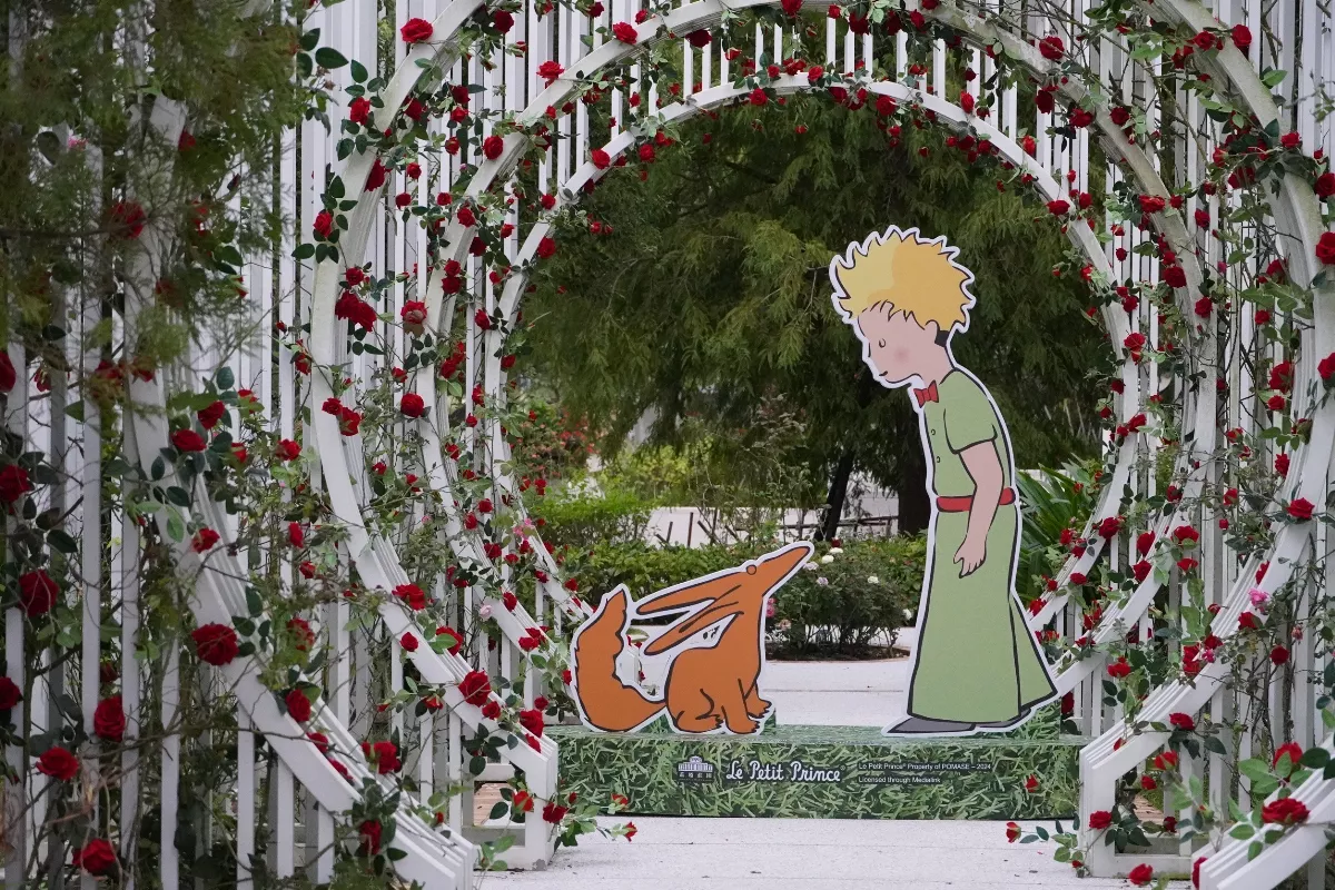 小王子的心靈花園 12歲以下免費入園