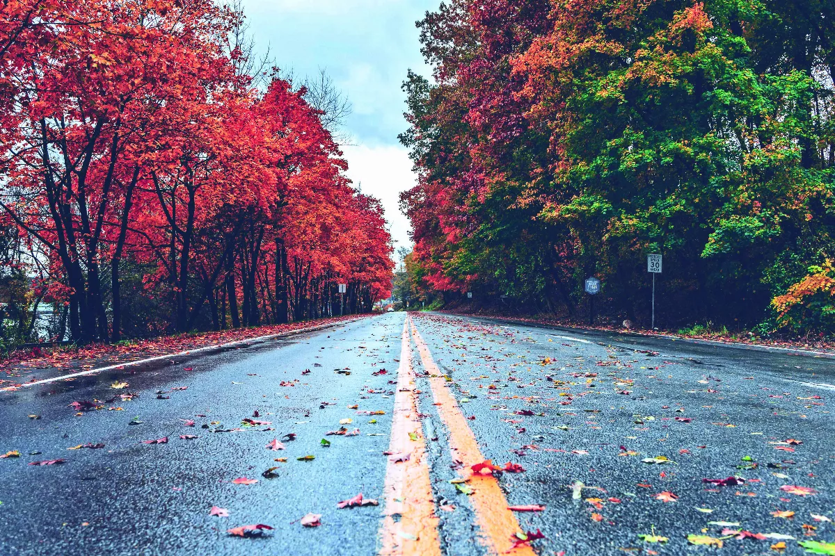 【朗朗晴空】人生不退票