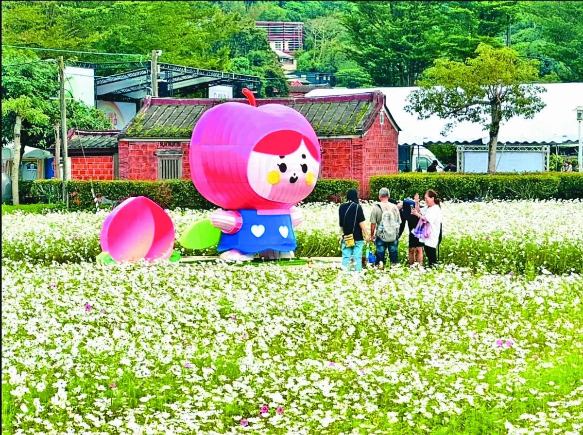 桃園花卉農遊  賞遊美麗花海