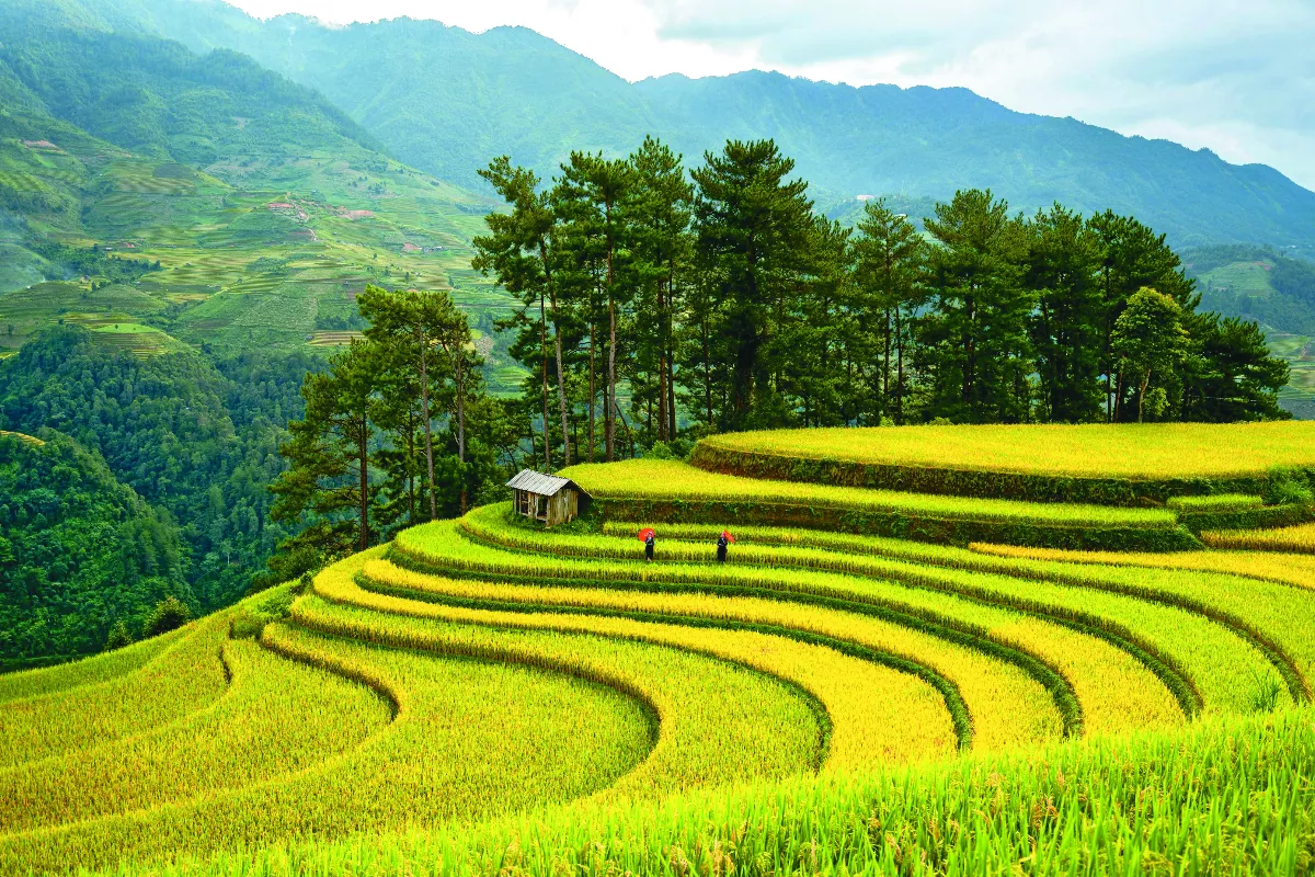 星雲大師全集【講演集】佛法與義理—佛教對因果的看法 4-1