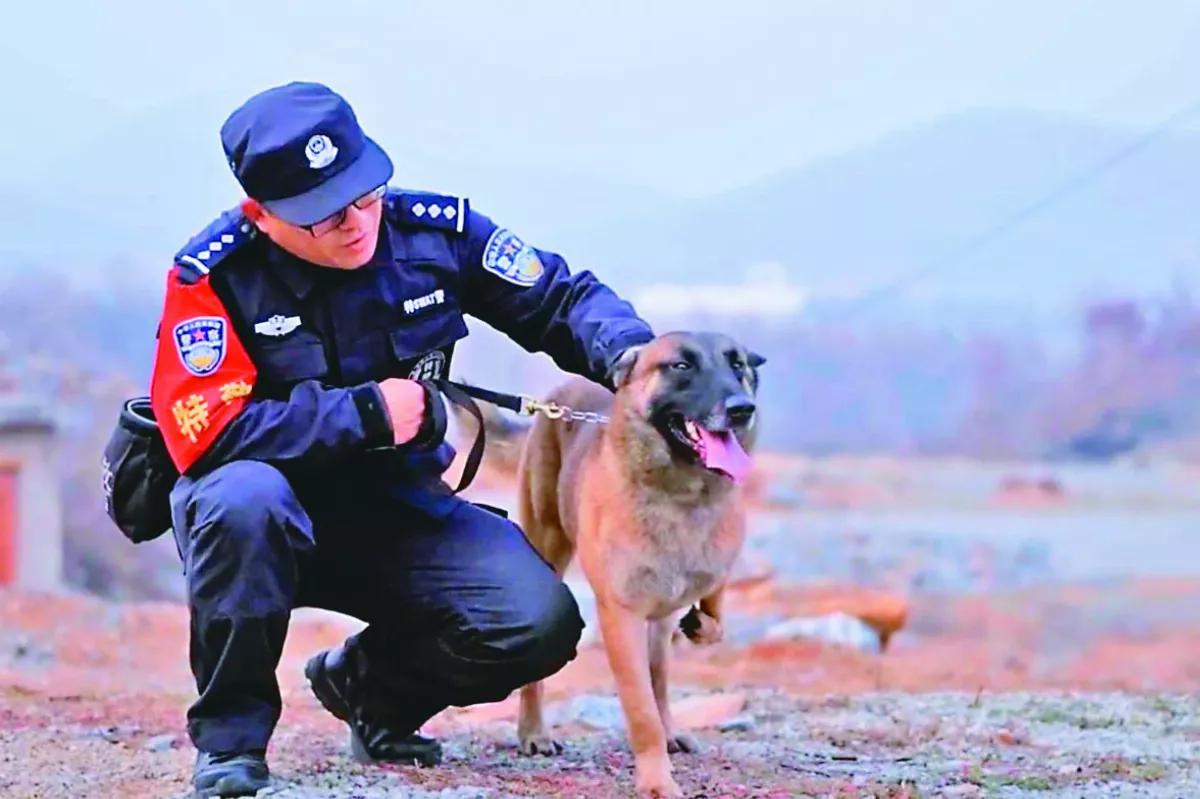 三條腿狗狗  不畏逆境考上警犬