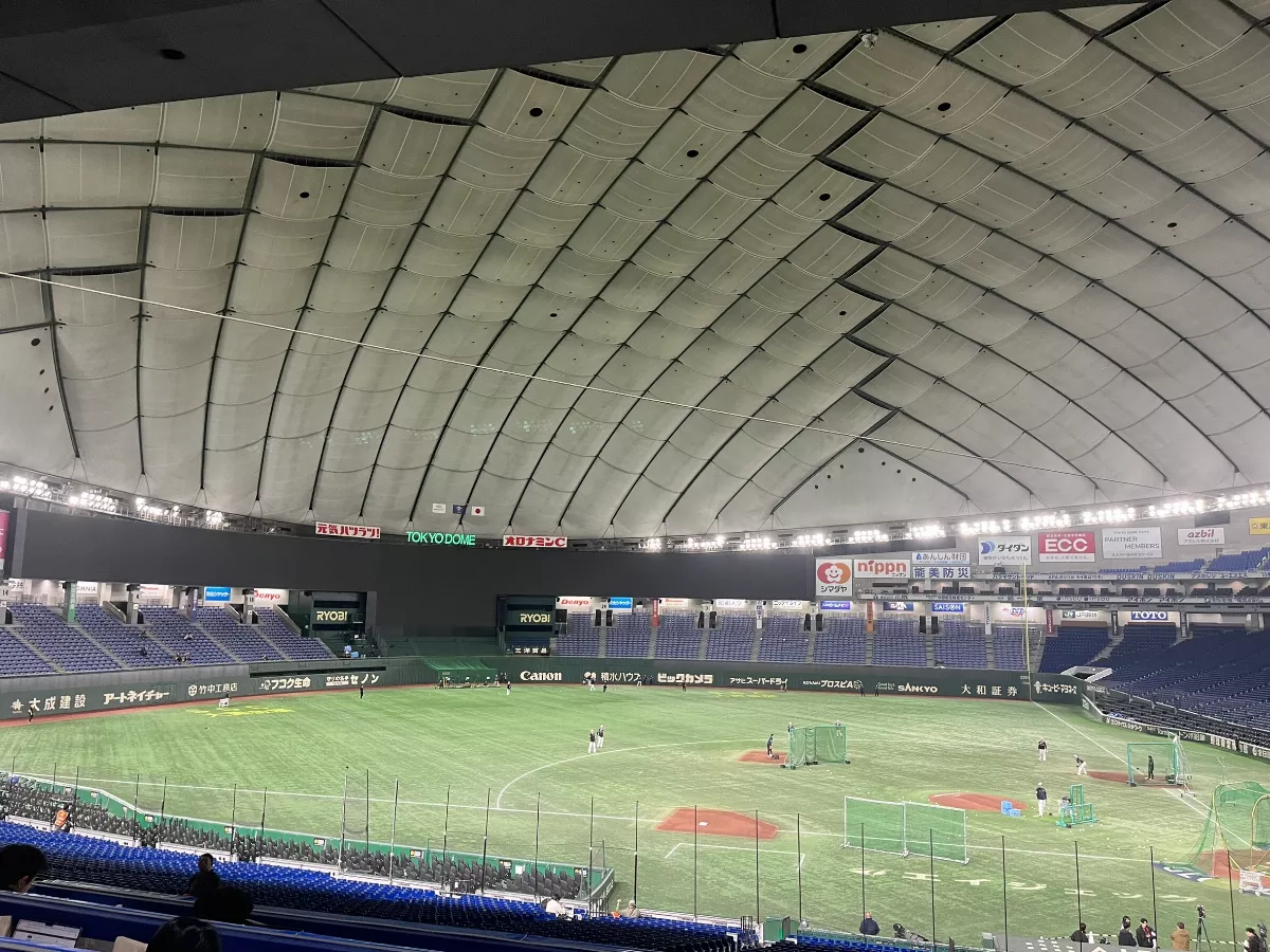 12強現場／對比大巨蛋 東蛋屋頂易吃球、草皮硬