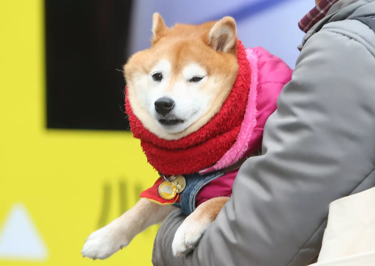 入冬第1波冷氣團報到 冷到12月初