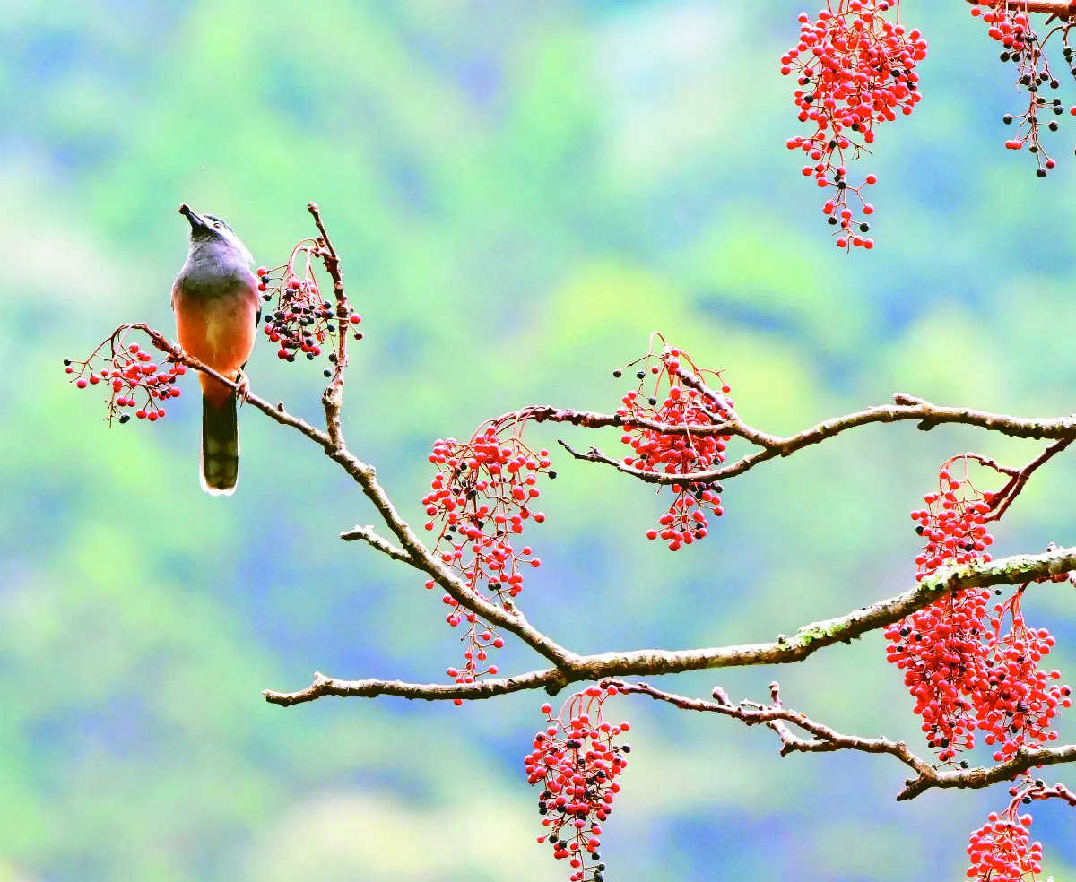 星雲大師全集【講演集】佛法與生活─生活與般若 2-1