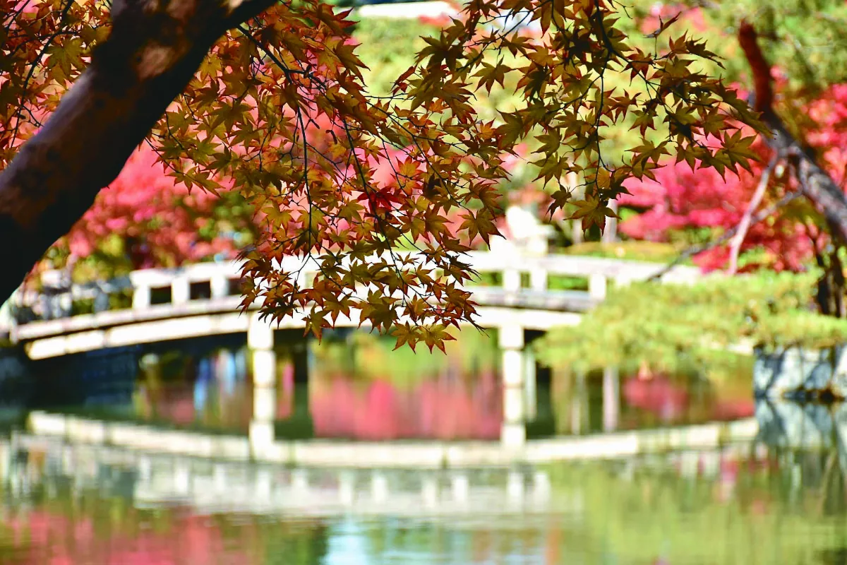 星雲大師全集【講演集】佛法與生活─生活與般若 2-2