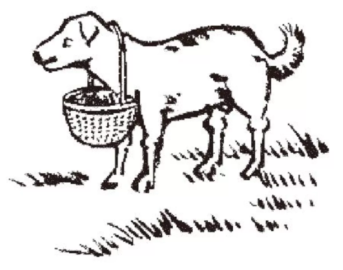 【護生畫集】黃犬送物
