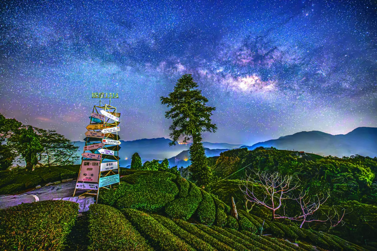 阿里山攝影賽金獎 海鼠山絢爛奪目