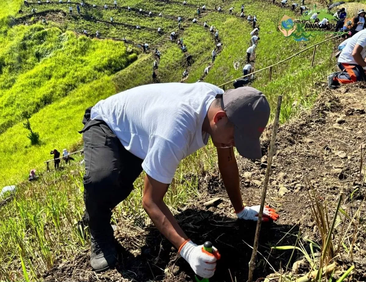 宣導循環經濟意識   菲律賓2000餘人同時種竹