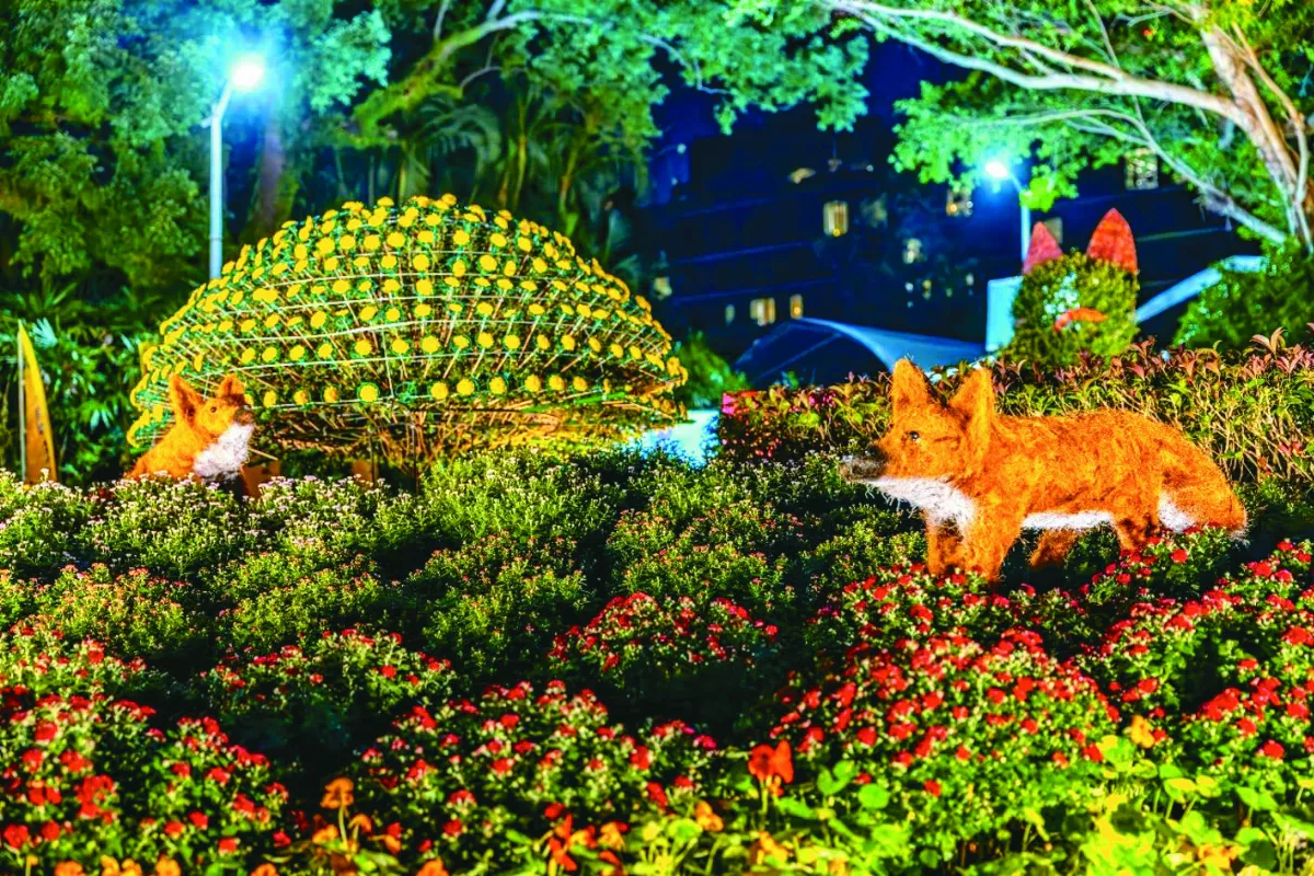 士林官邸  15萬盆菊花爭豔