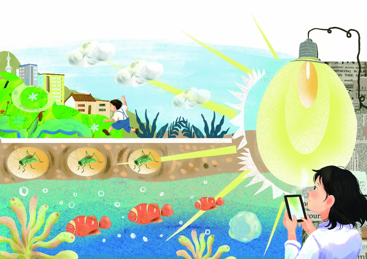光害干擾小丑魚繁殖