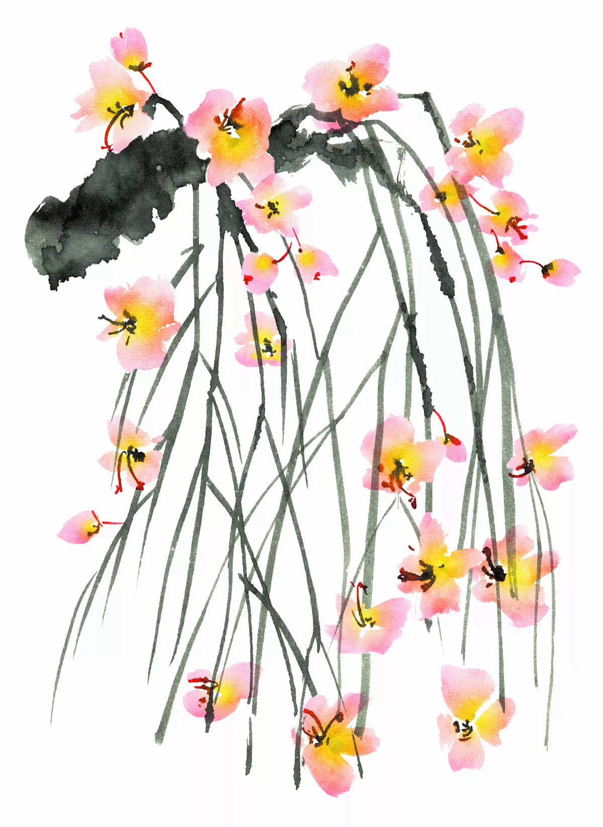 星雲大師全集【經義】佛法滿人間—吉祥草