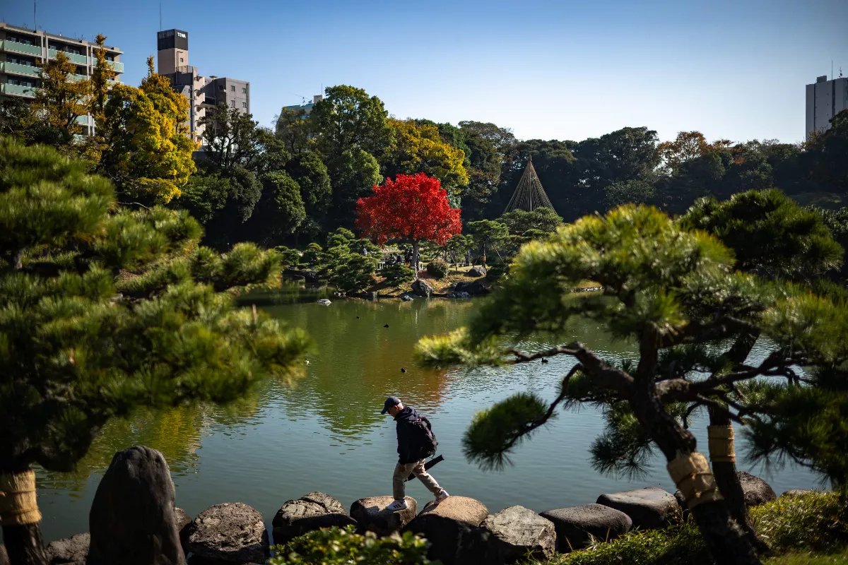 日本迎最暖秋天 楓葉季延至12月登場