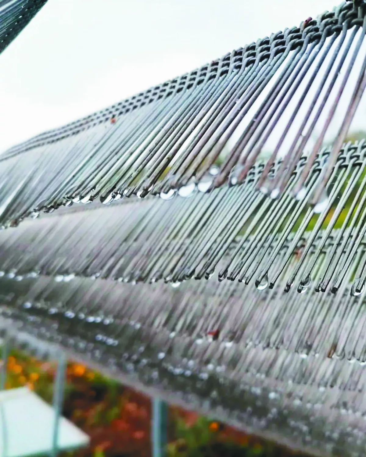 雲端取水 為森林解渴