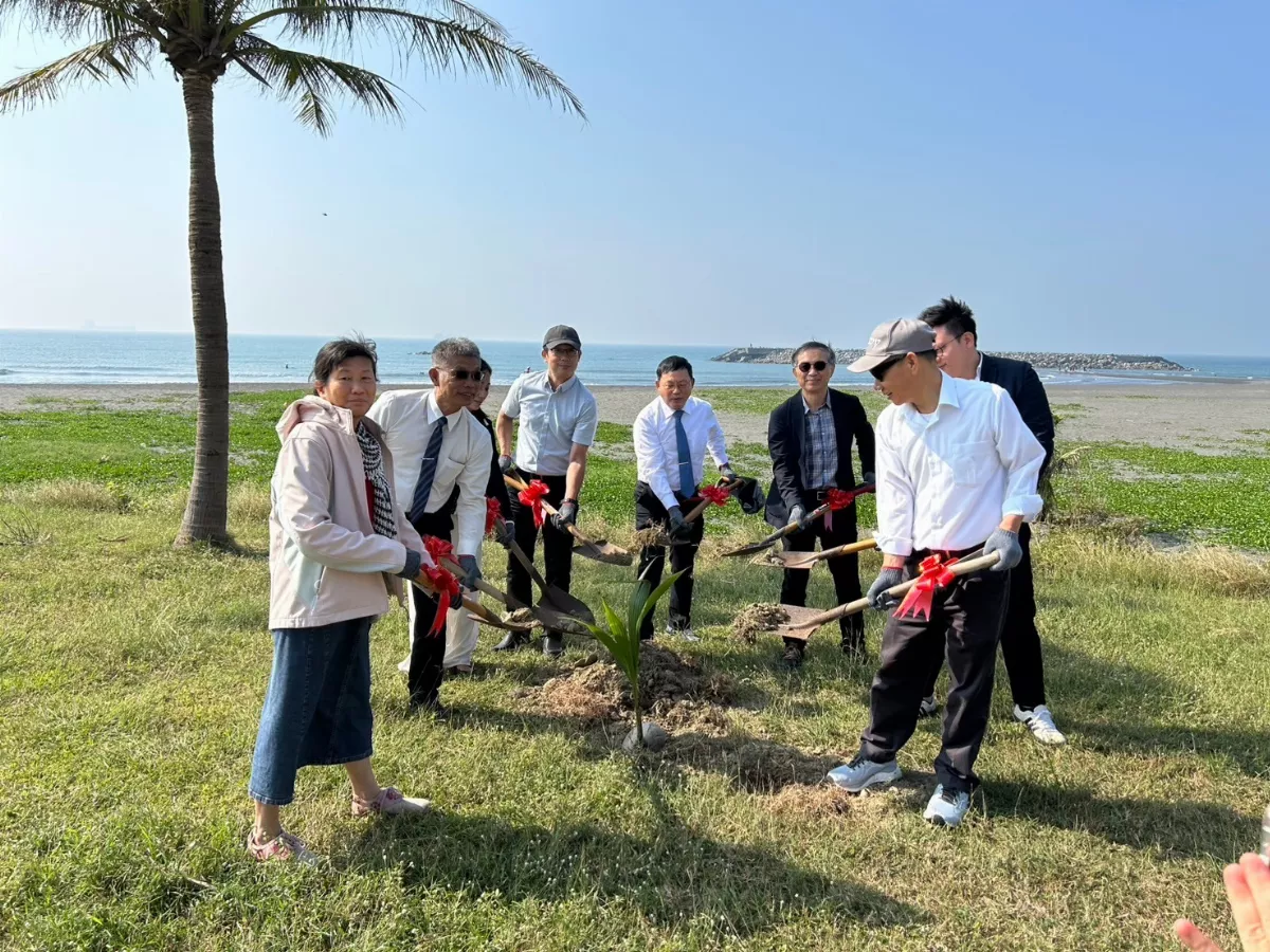 椰林吸碳 中山大學碳索實驗室旗津種可可椰子